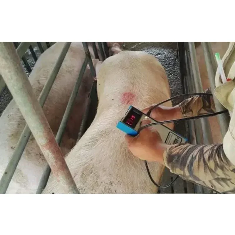 Agriculture Farming Livestock - Precision Pig Back Fat Detector Farm