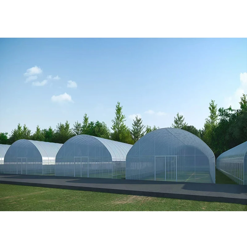 # l Low Cost Farm Singlespan G - Organic Farming Of Agriculture 评论和价格
