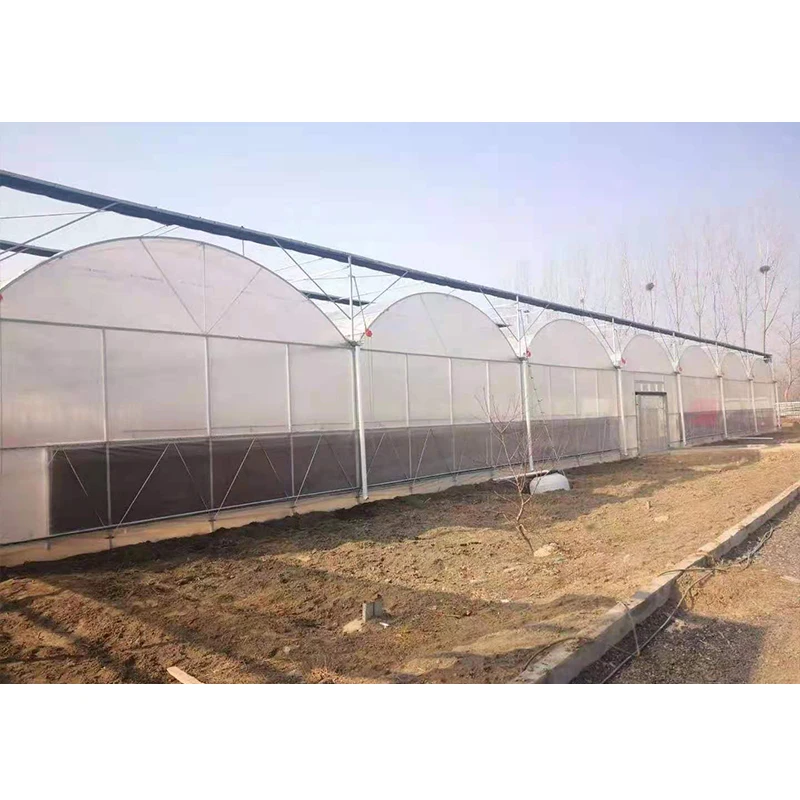 # l Low Cost Farm Singlespan G - Organic Farming Of Agriculture 评论和价格