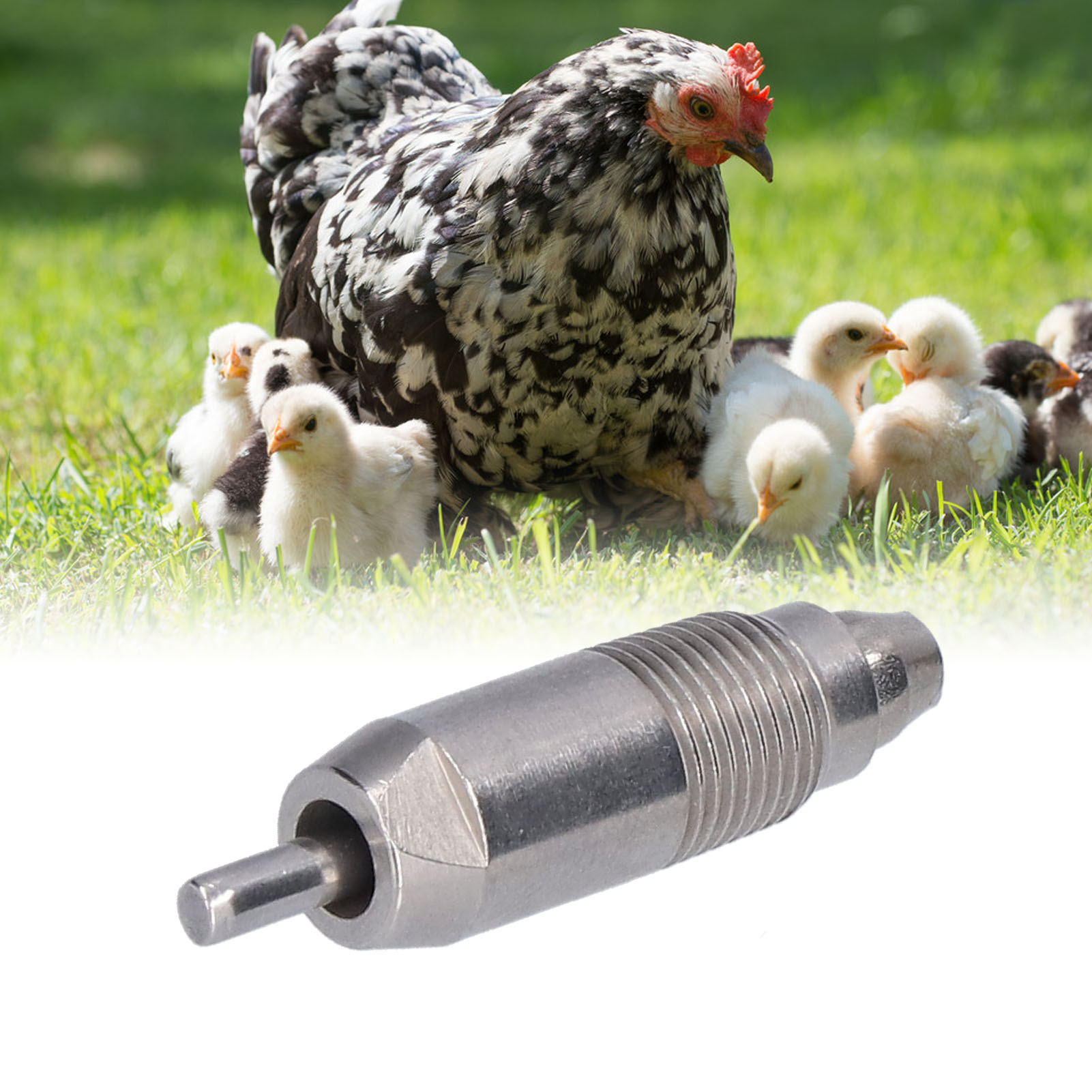 10Pcs Stainless Steel Chicken  - Chicken Nipple Drinker 评论和价格