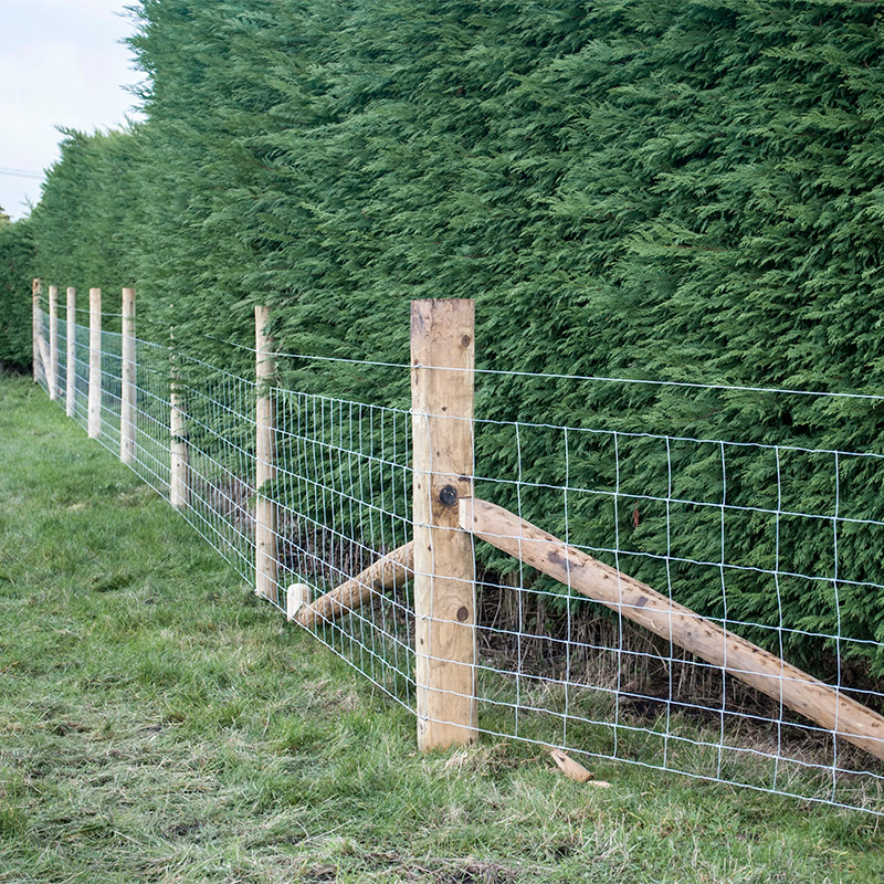 Customized Iron Wire Mesh Fixe - Farming Agriculture 评论和价格