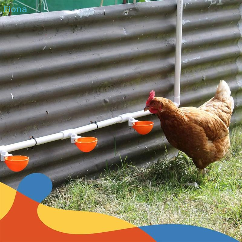 ✔5Pcs Automatic Drinking Bowl  - Chicken Nipple Drinker 评论和价格