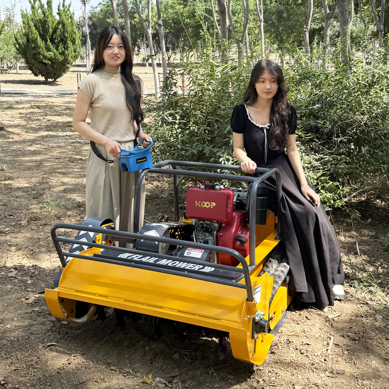 Customized Multifunctional Rem - Farming Agriculture Tools 评论和价格