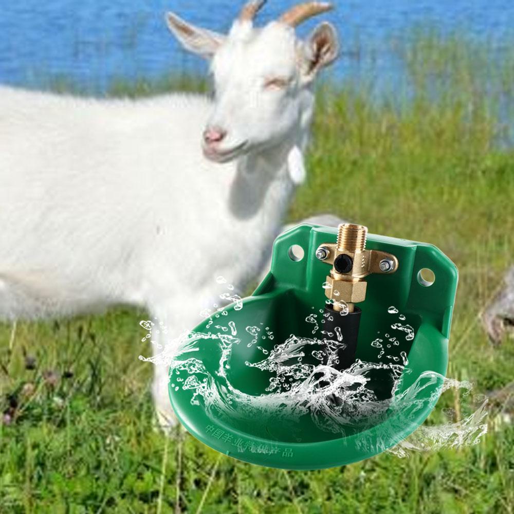 Automatic Water Bowl Liquid Dr - Chicken Nipple Drinker 评论和价格