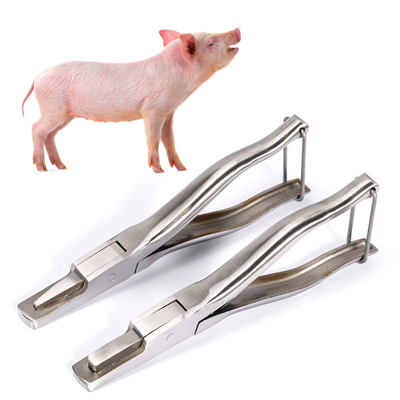 Stainless Steel Pig Ear Notche - Agriculture Farming Livestock 评论和价格