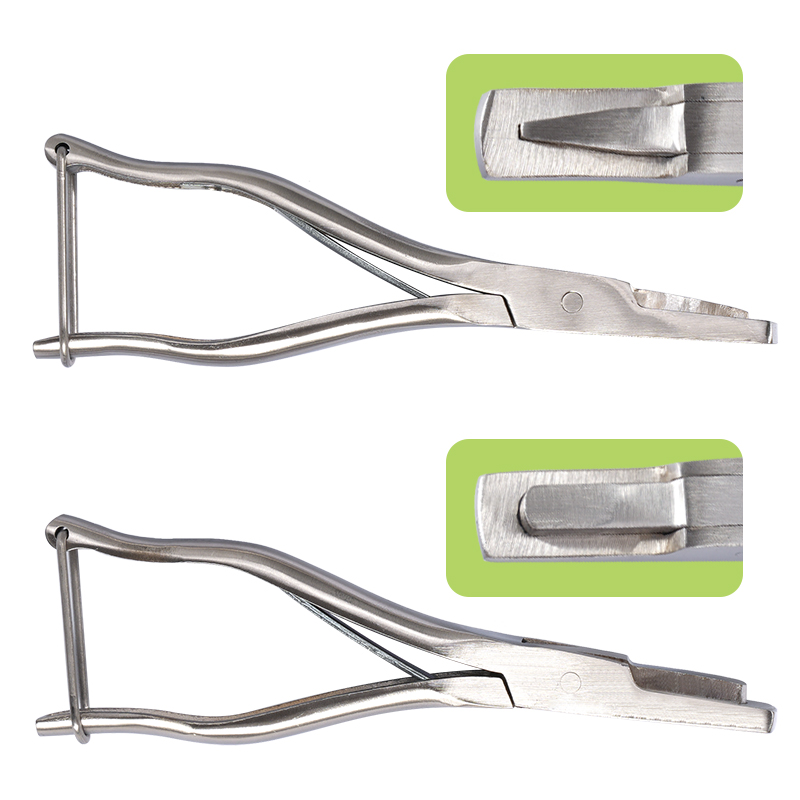 Stainless Steel Pig Ear Notche - Agriculture Farming Livestock 评论和价格