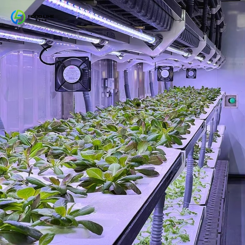 Customized Custom Container Fa - Organic Farming Of Agriculture 评论和价格