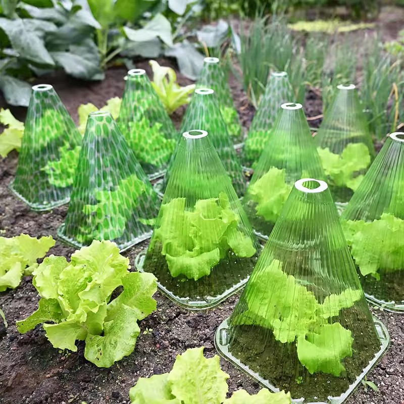 10/20pcs Plant Protective Cove - Farming Agriculture Tools 评论和价格