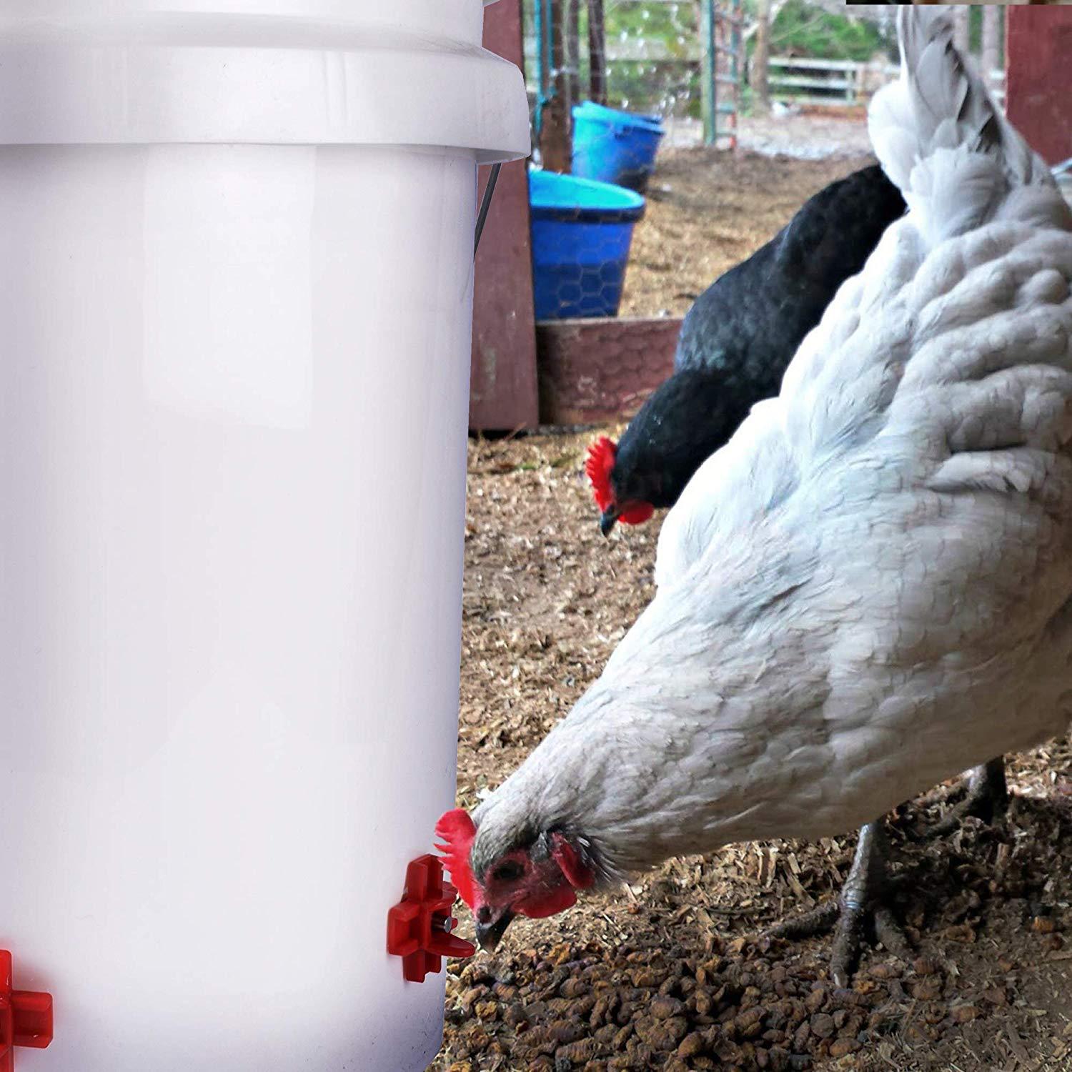 A84X-30Pcs Horizontal Side Mou - Chicken Nipple Drinker 评论和价格